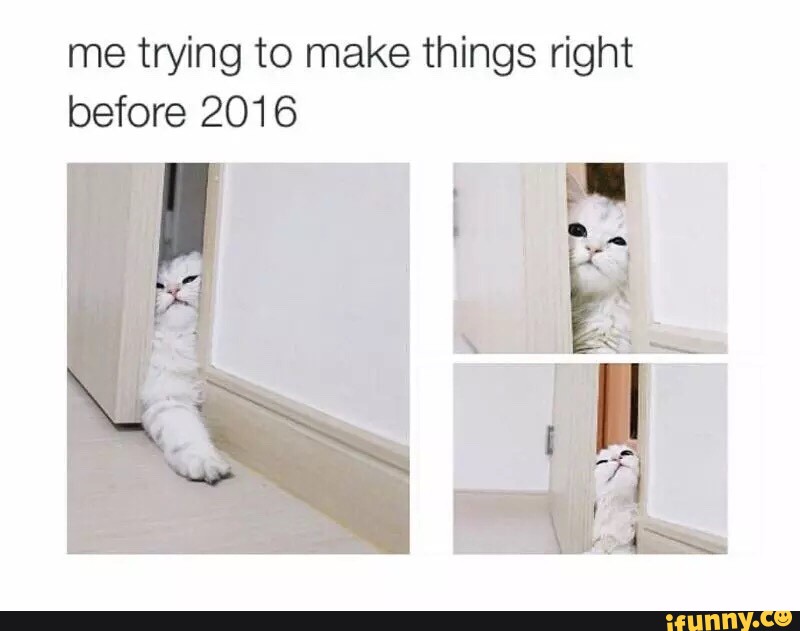 Make things right. Мемы с котами 2022. Коты мемы 2022.