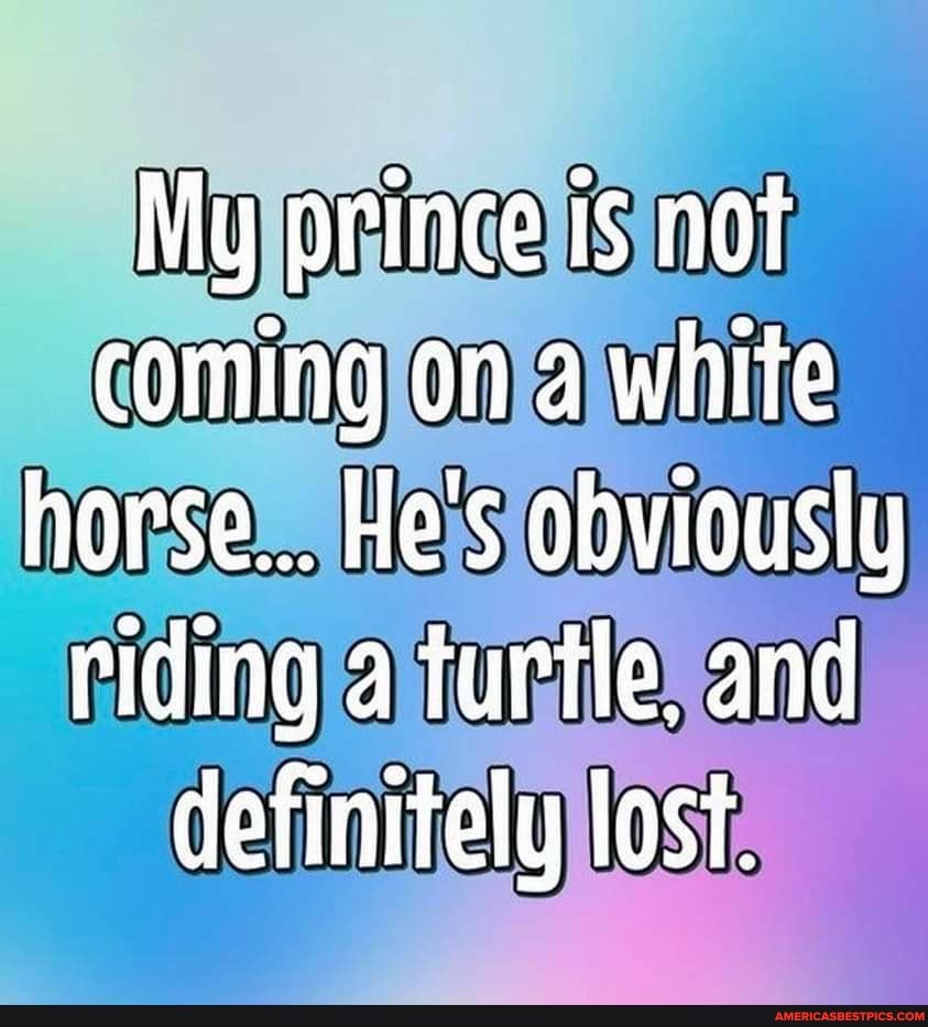 My prince is not coming on a white horse... He's obviously riding a turtle, and definitely lost.