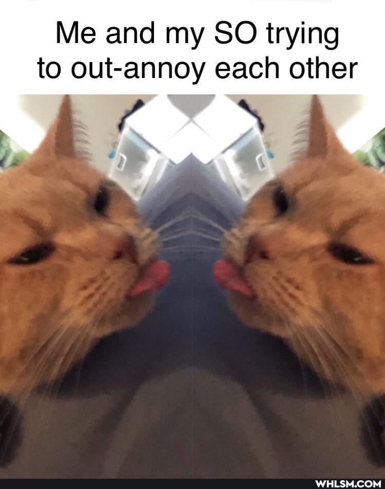 Me and my SO trying to out-annoy each other