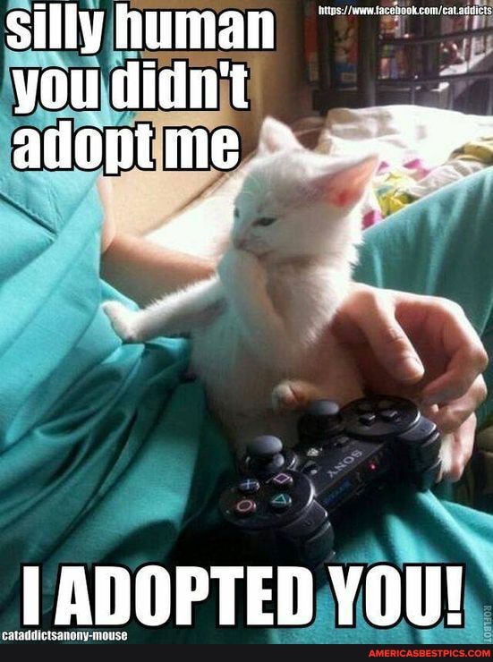 alopt me
ADOPTED YOU!