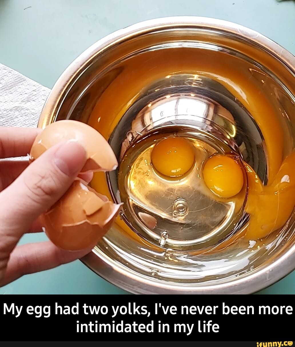 Collection 103+ Pictures What Does It Mean When Two Yolks Come Out Of