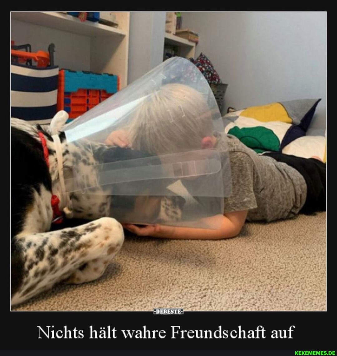 Nichts hält wahre Freundschaft auf