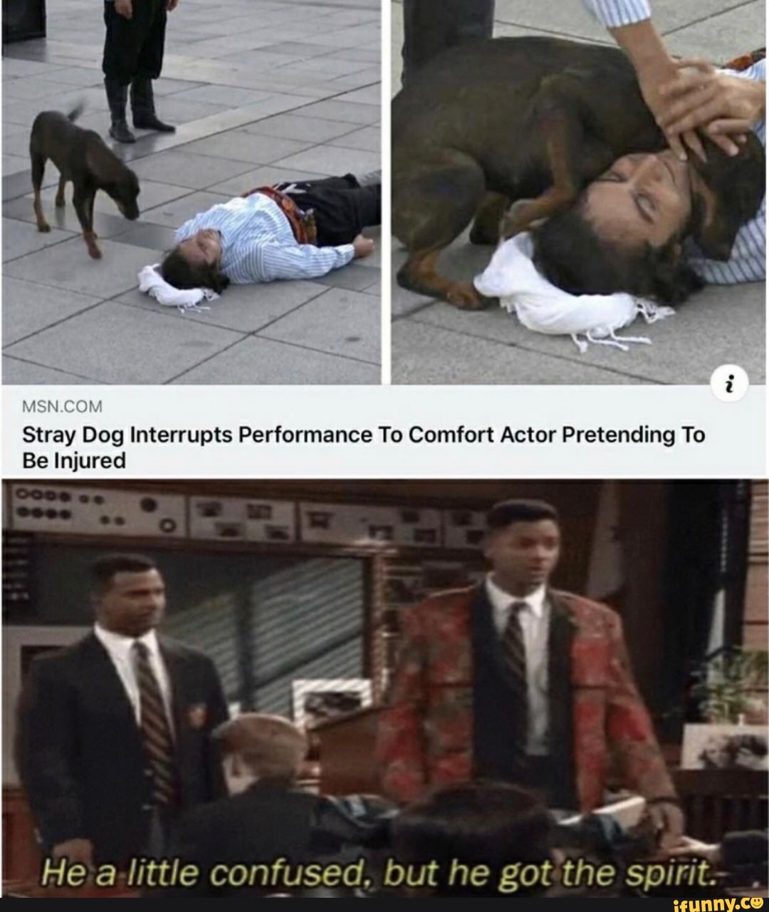 Stray Dog Interrupts Performance To Comfort Actor Pretending To
Be Injured
He little confused, but he got the spirit-