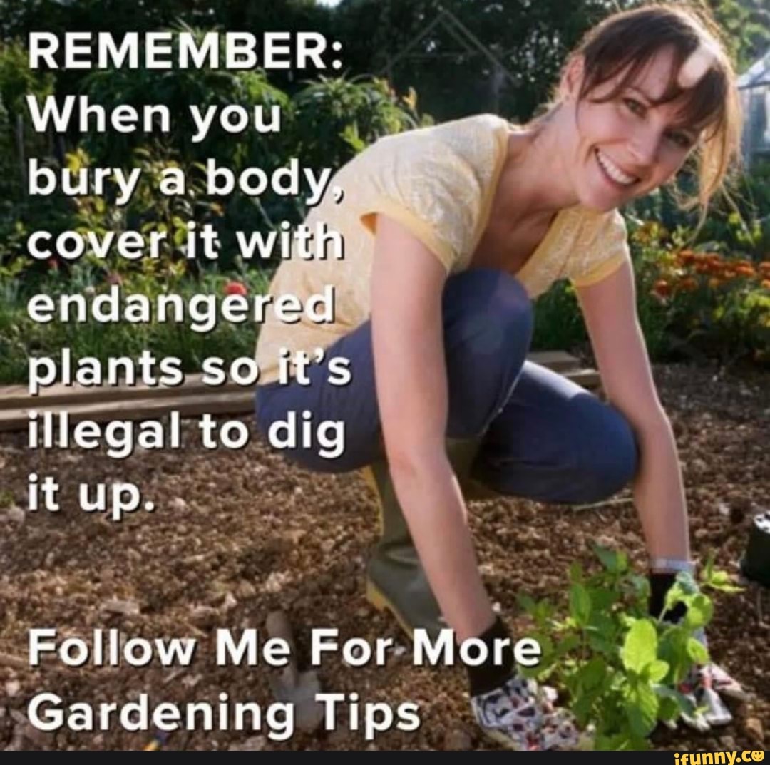 remember-when-you-bury-a-body-cover-it-with-endangered-plants-so-it-s