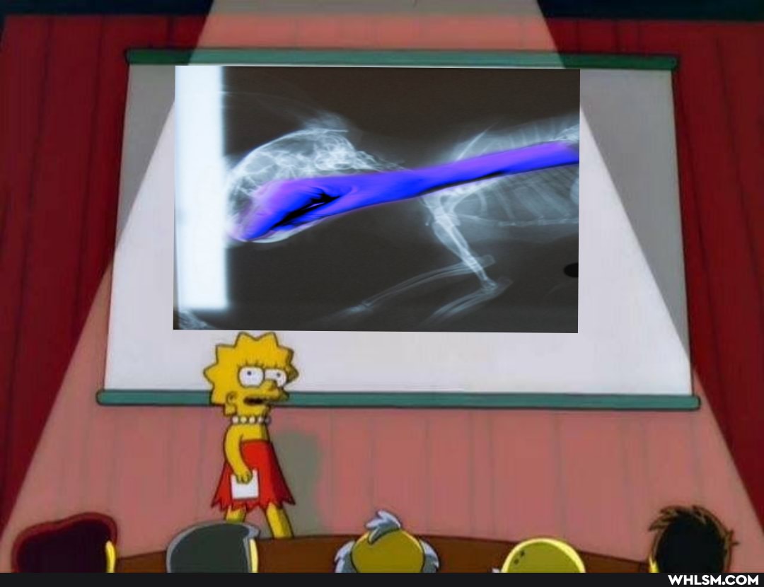 oc, funny