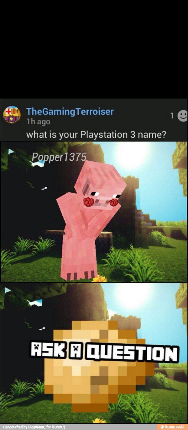 1h ago
what is your Playstation 3 name?