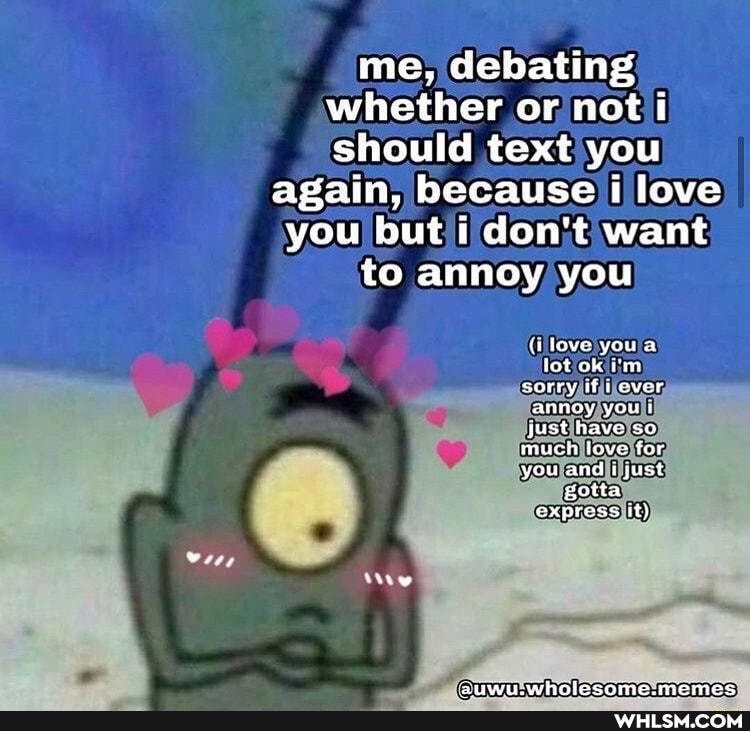 me, debating whether or not i should text you again, because i love you but i don't want te annoy you
(i love youa jot ok i'm sorry if i cver annoy you i just have se much leve for you and i just gotta express it)
auwiwhslesome. memes