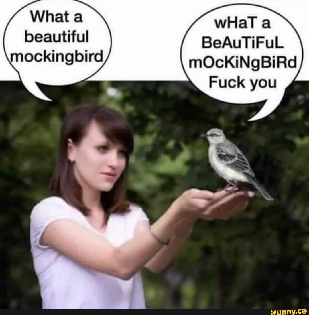 What a wHaT a
beautiful BeAuTiFuL mockingbird mOcKiNgBiRd
Fuck you
