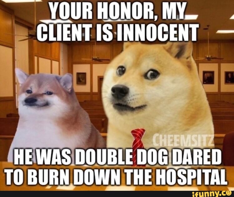 YOURHONOR, MY CLIENTISINNOCENT
HE WAS DOUBLE DOG DARED TO BURN DOWN THE HOSPITAL