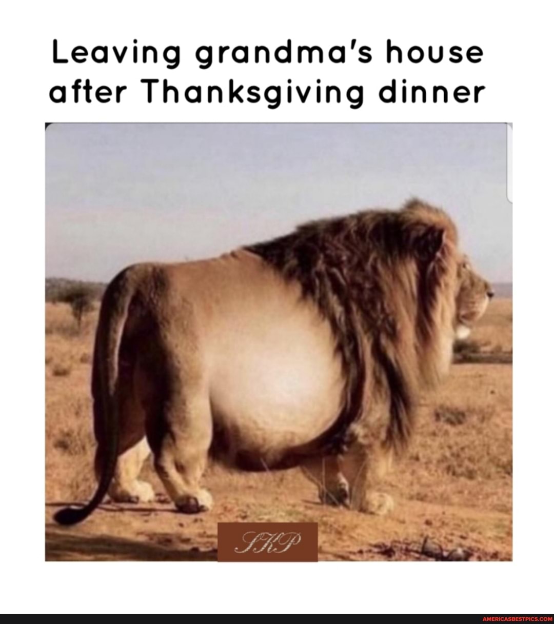 Leaving grandma's house after Thanksgiving dinner