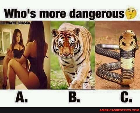 Who's more dangerous