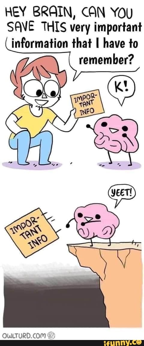 HEY BRAIN, CAN YOU
SAVE THIS very important