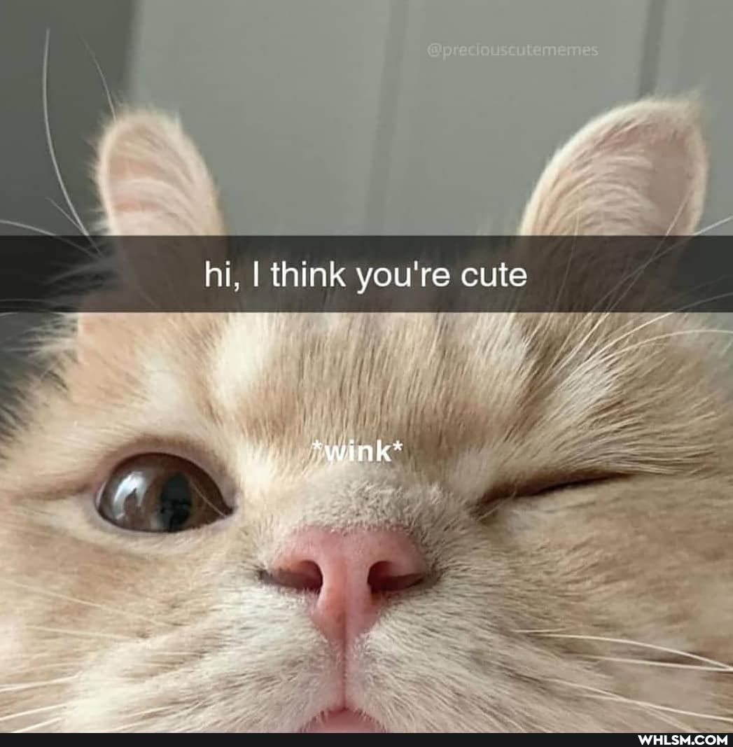 hi think you're cute
Wwink*