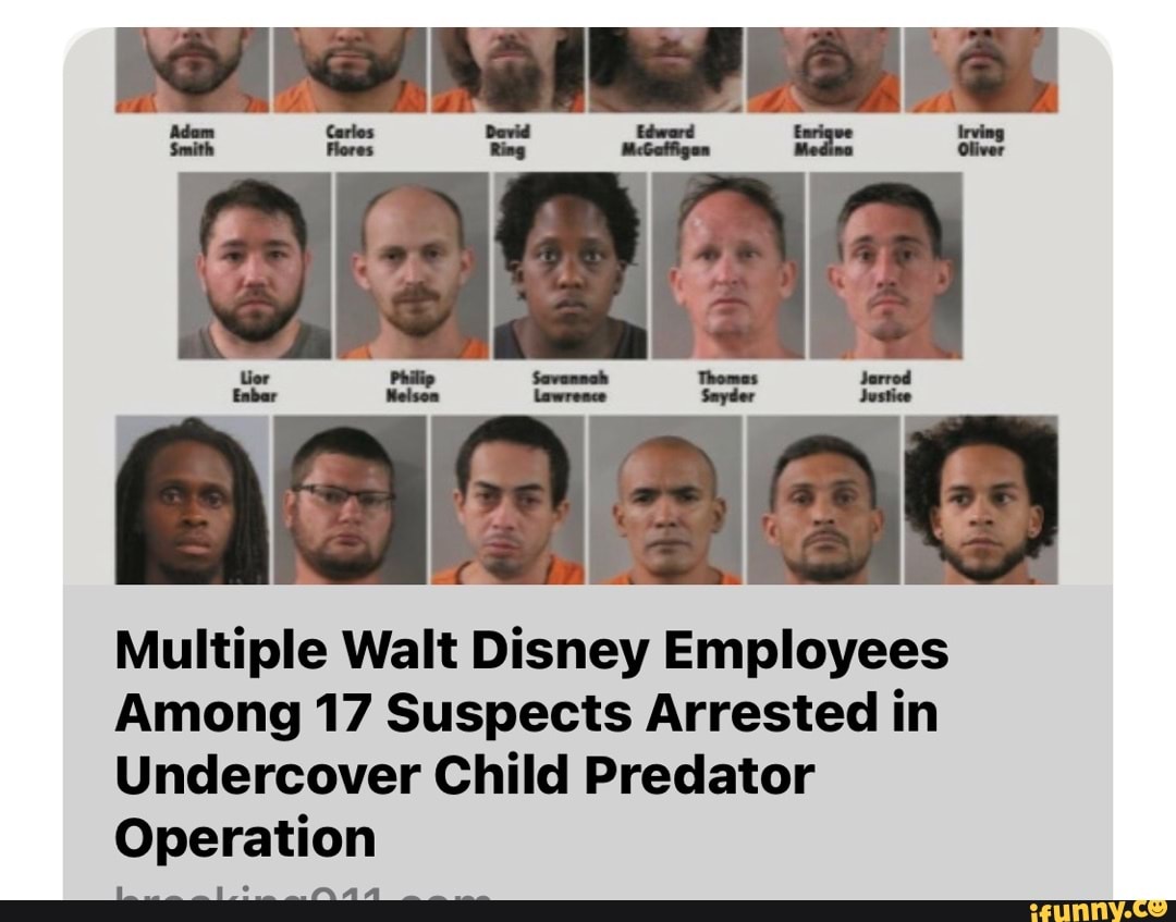 Multiple Walt Disney Employees Among 17 Suspects Arrested in Undercover ...
