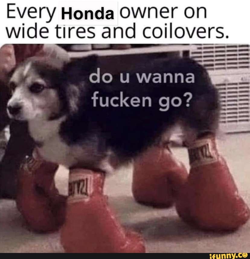 Every Honda Owner on
wide tires and coilovers.
do u wanna
fucken go?