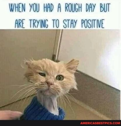 WHEN YOU HAD A ROUGH DAY BUT ARE_TRYING TO STAY POSITIVE