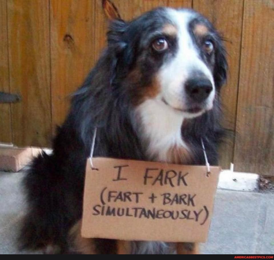 FART + BARK
{PART + BA sLy)