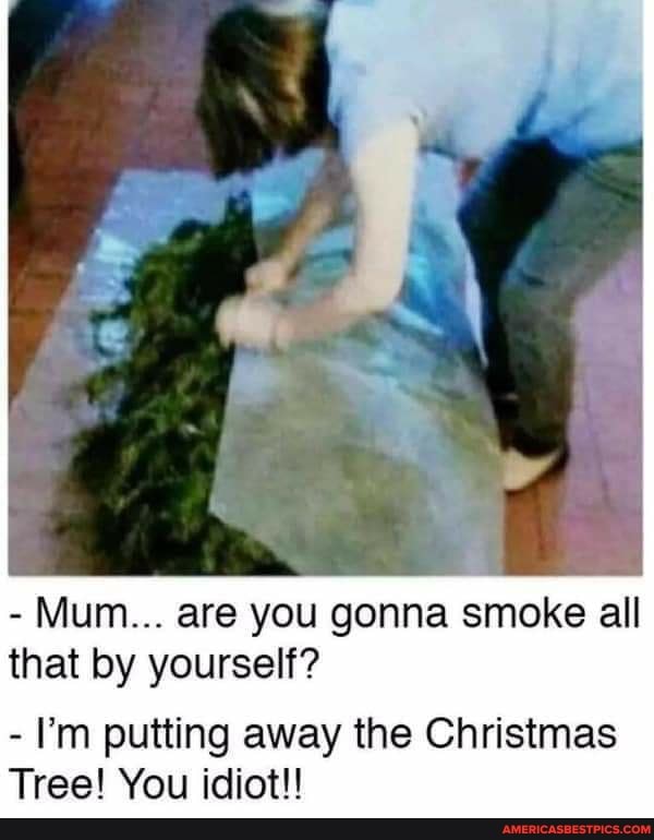 - Mum... are you gonna smoke all that by yourself?
- ''m putting away the Christmas
Tree! You idiot!!