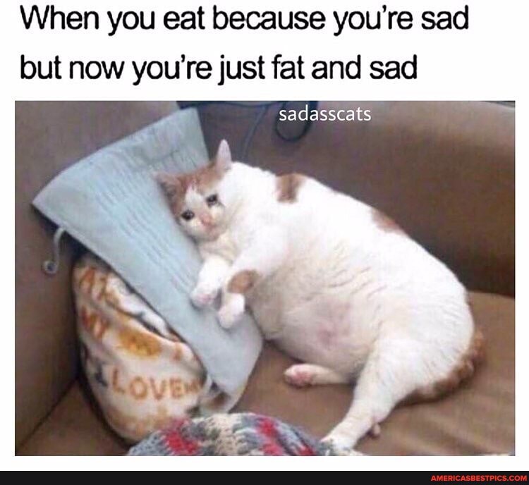 When you eat because you're sad but now you're re just fat and sad