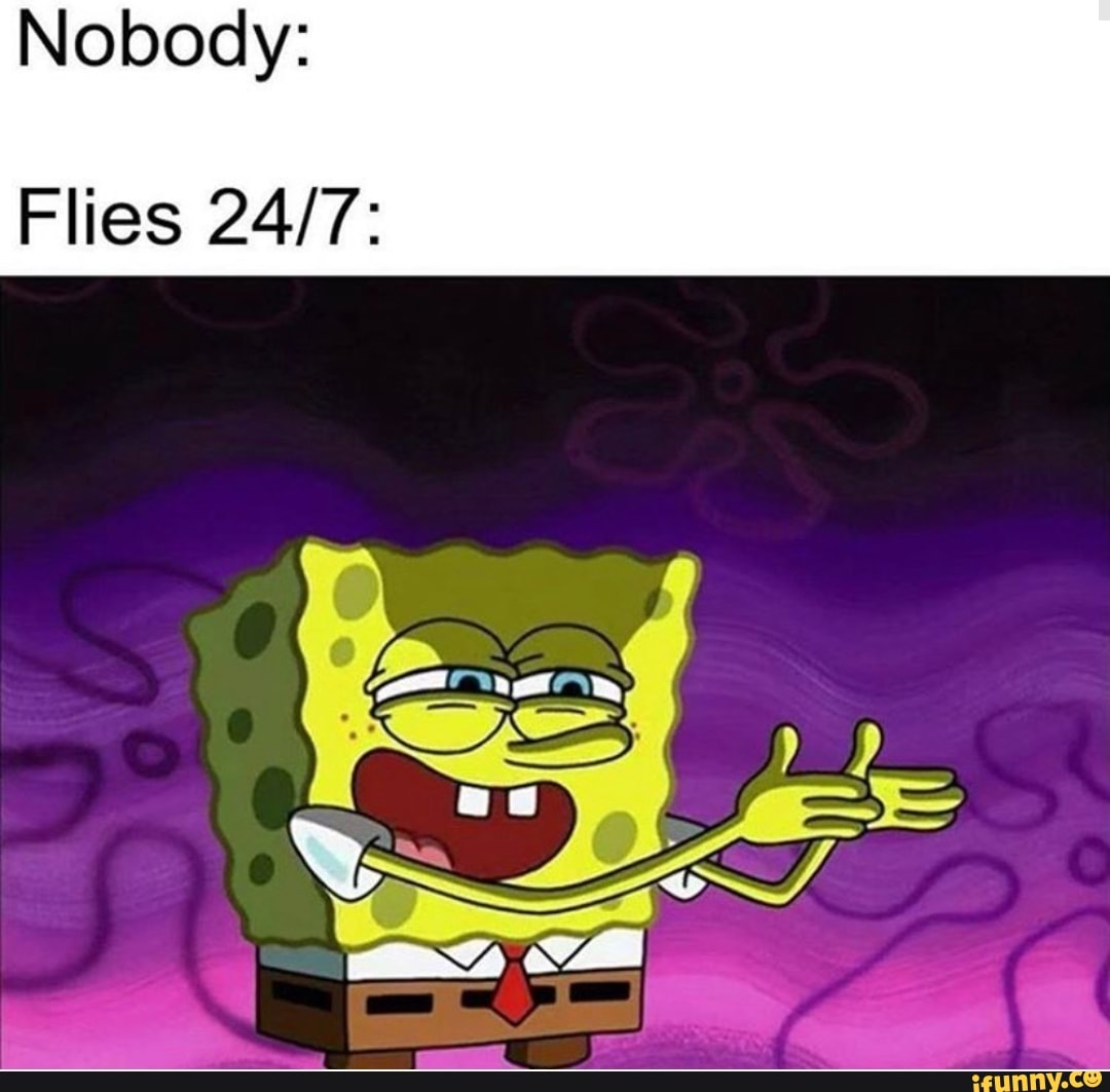 Nobody:
Flies 24/7: