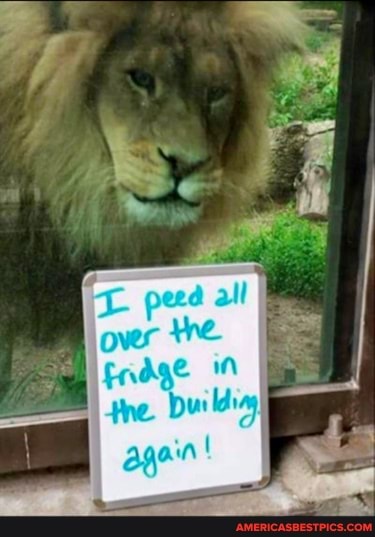 over
Frdge he. Dus
again