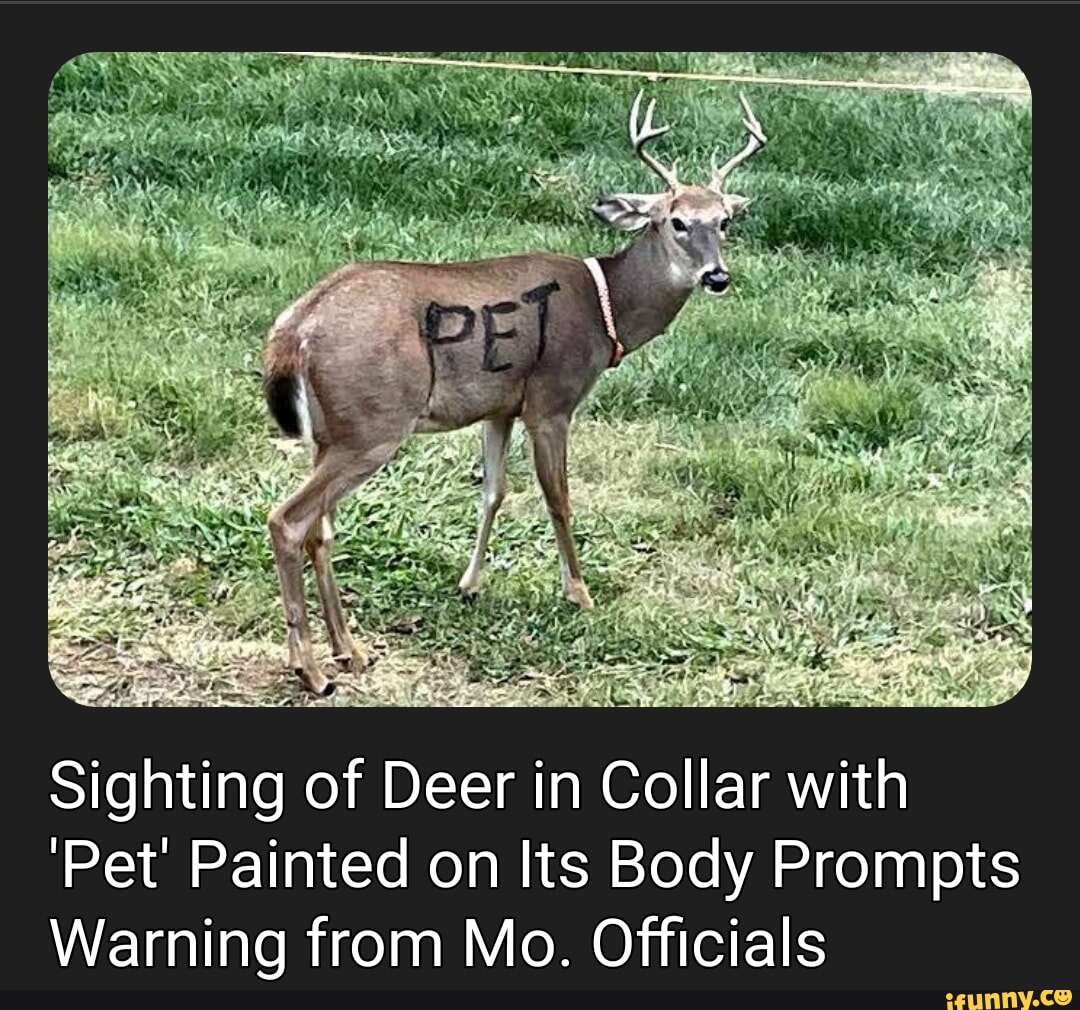 NOW DRAW HER EATING SPYROS SUB SANDWICH iFunny