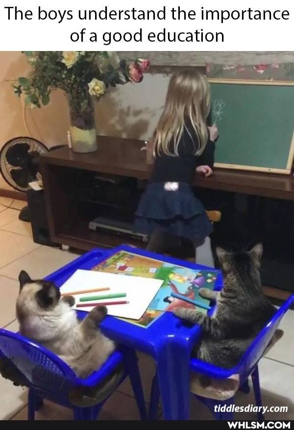 The boys understand the importance of a good education
titdlocdiary cant
