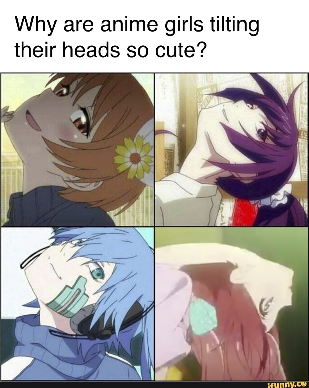 Why Are Anime Girls Tilting Their Heads So Cute Ifunny