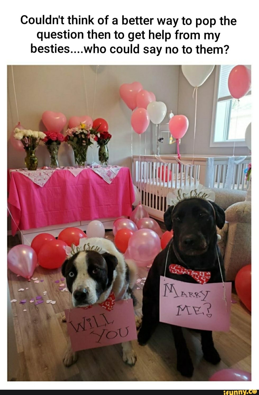 Couldn't think of a better way to pop the
question then to get help from my
besties....who could say no to them?