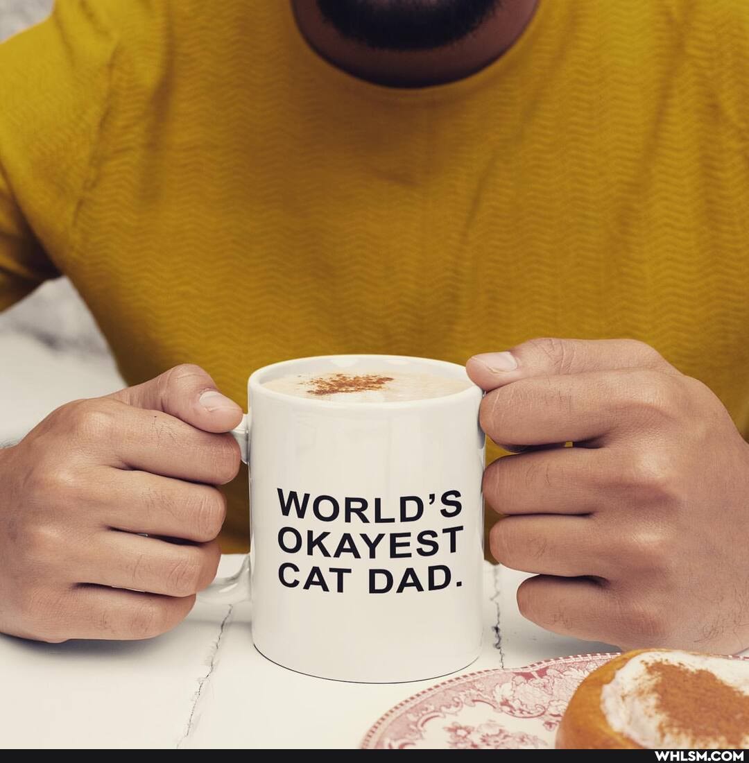 WORLD'S OKAYEST CAT DAD.