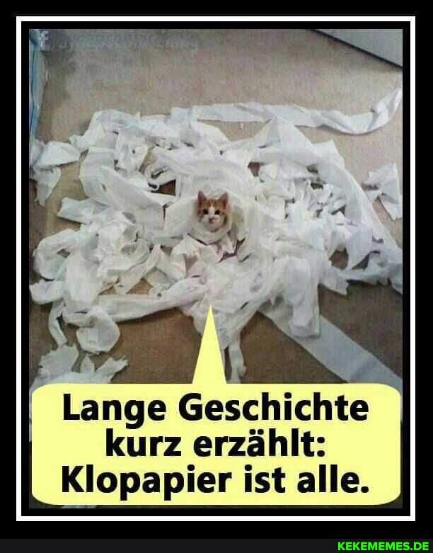 Lange Geschichte kurz erzählt:
Klopapier ist alle.