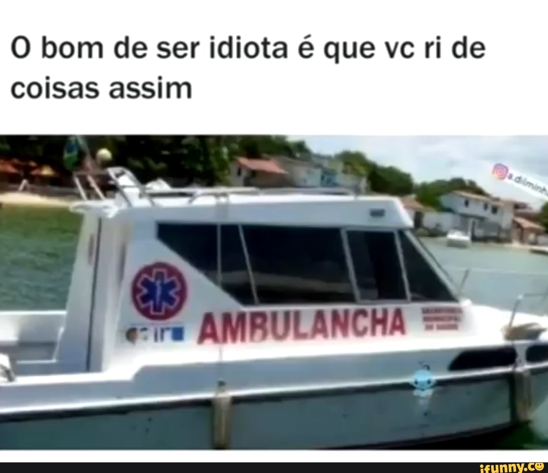 O bom de ser idiota é que vc ri de coisas assim