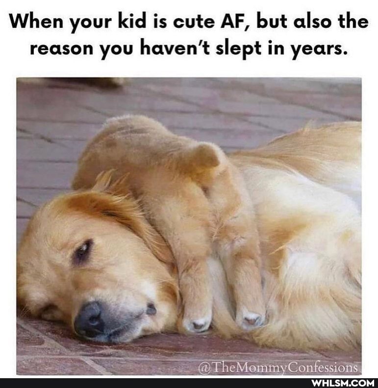 When your kid is cute AF, but also the reason you haven't slept in years.