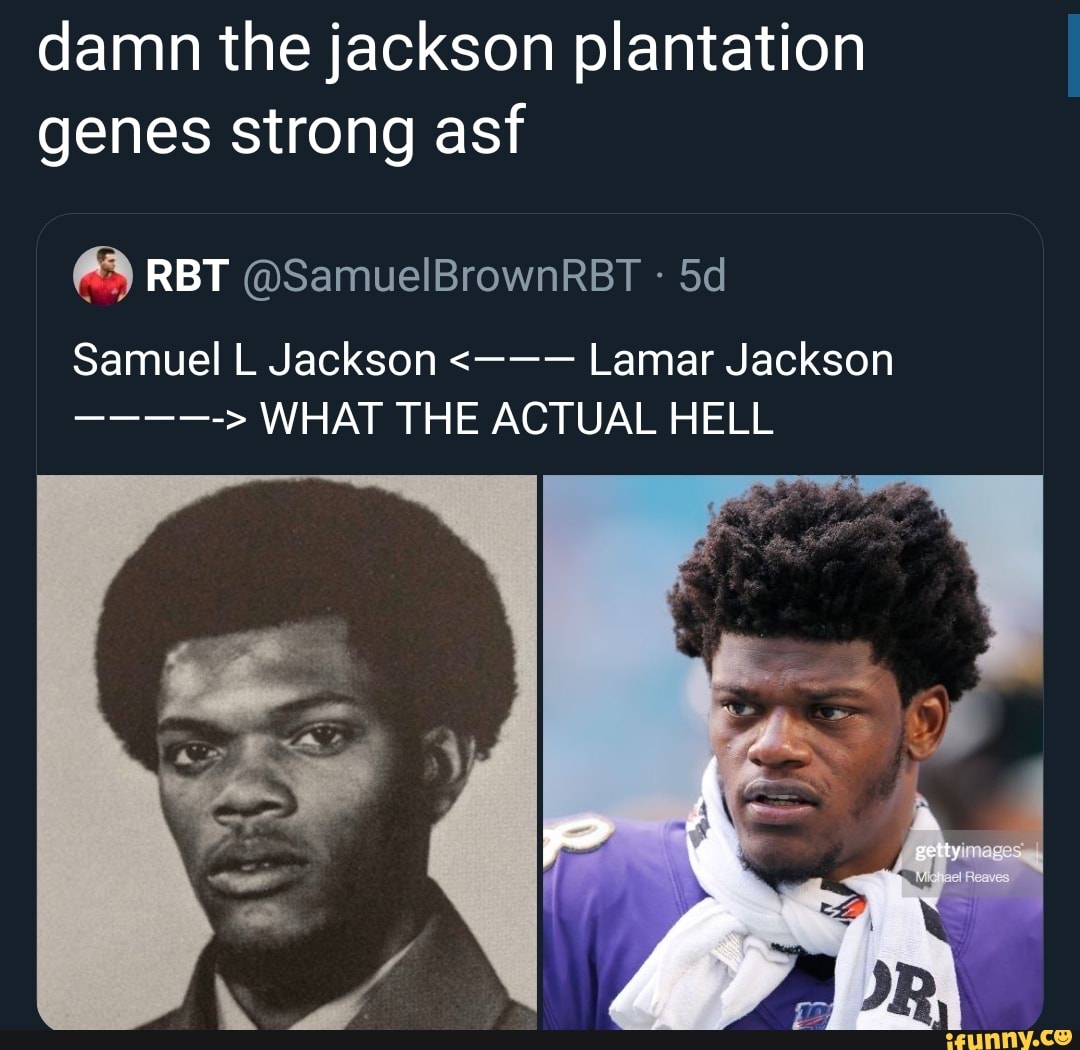 Damn the jackson plantation genes strong asf Samuel L Jackson Lamar Jackson - )