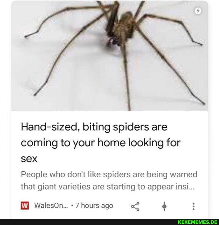 Hand Sized Biting Spiders Are Coming To Your Home Looking For Sex People Who Dont Like Spiders 