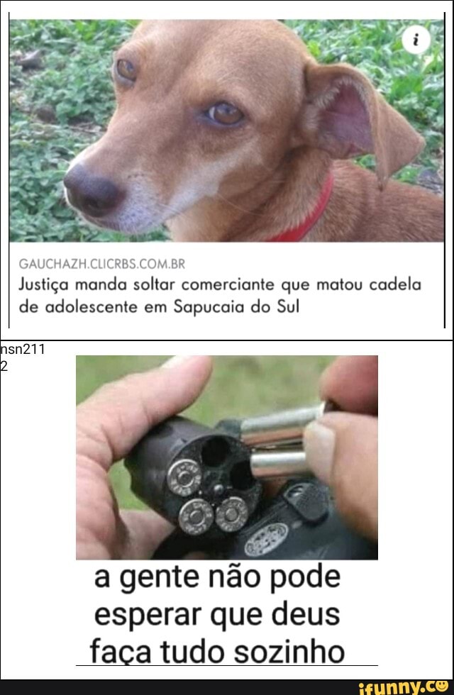 GAUCHAZH.CLICRBS.COM.BR Justiça manda soltar comerciante que matou cadela de adolescente em Sapucaia do Sul
a gente não pode esperar que deus faça tudo sozinho