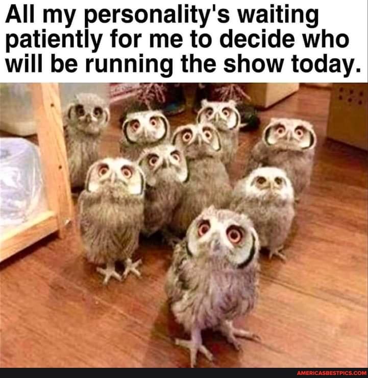 All my personality's waiting patiently for me to decide who will be running the show today.