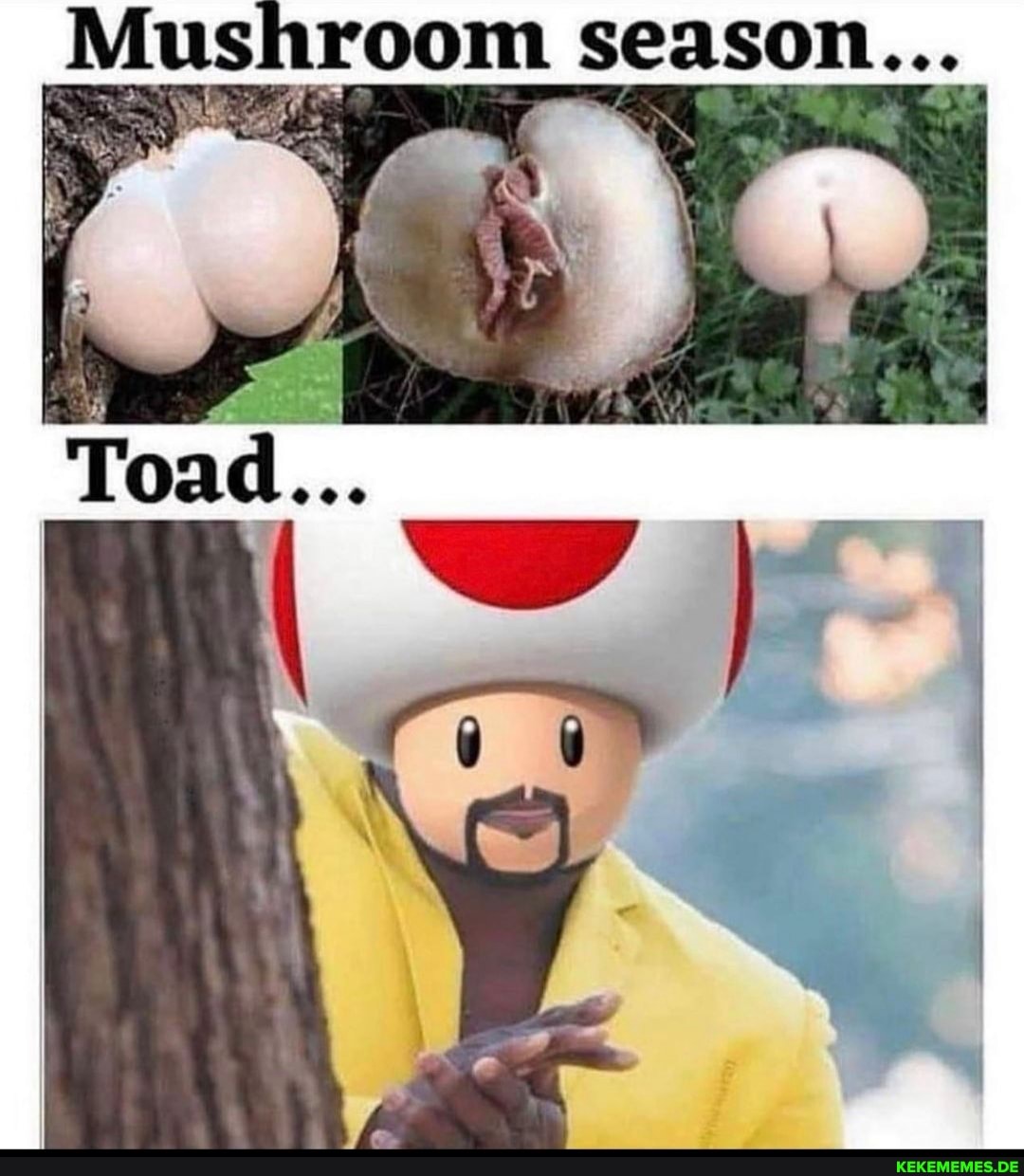 Mushroom season...