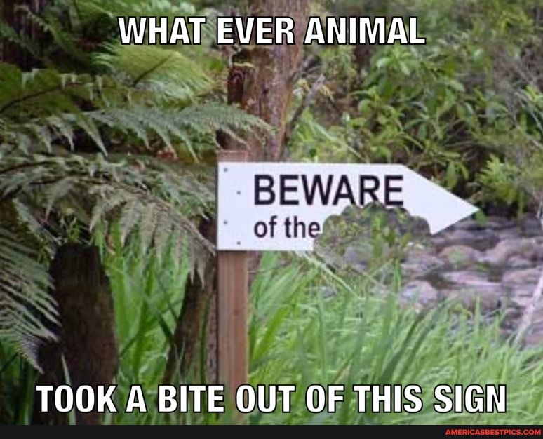 WHAT EVER ANIMAL
BEWARE
TOOK A BITE OUT OF THIS SIGN