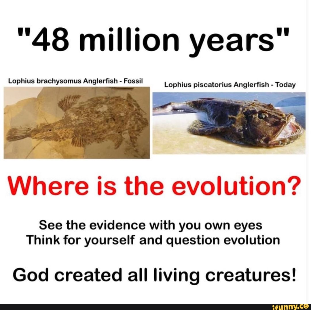 "48 million years" Lophius brachysomus Anglerfish Fossil Where is the