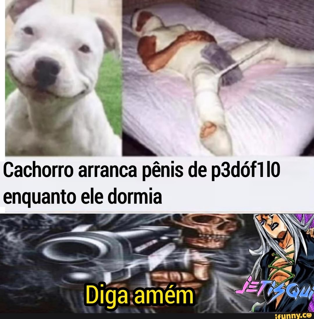 gomes" -
Cachorro arranca pênis de p3dófTIO enquanto ele dormia