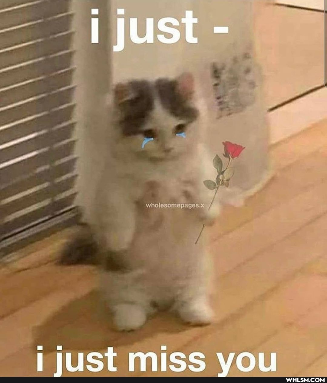 just -
riSSt MIss Vou