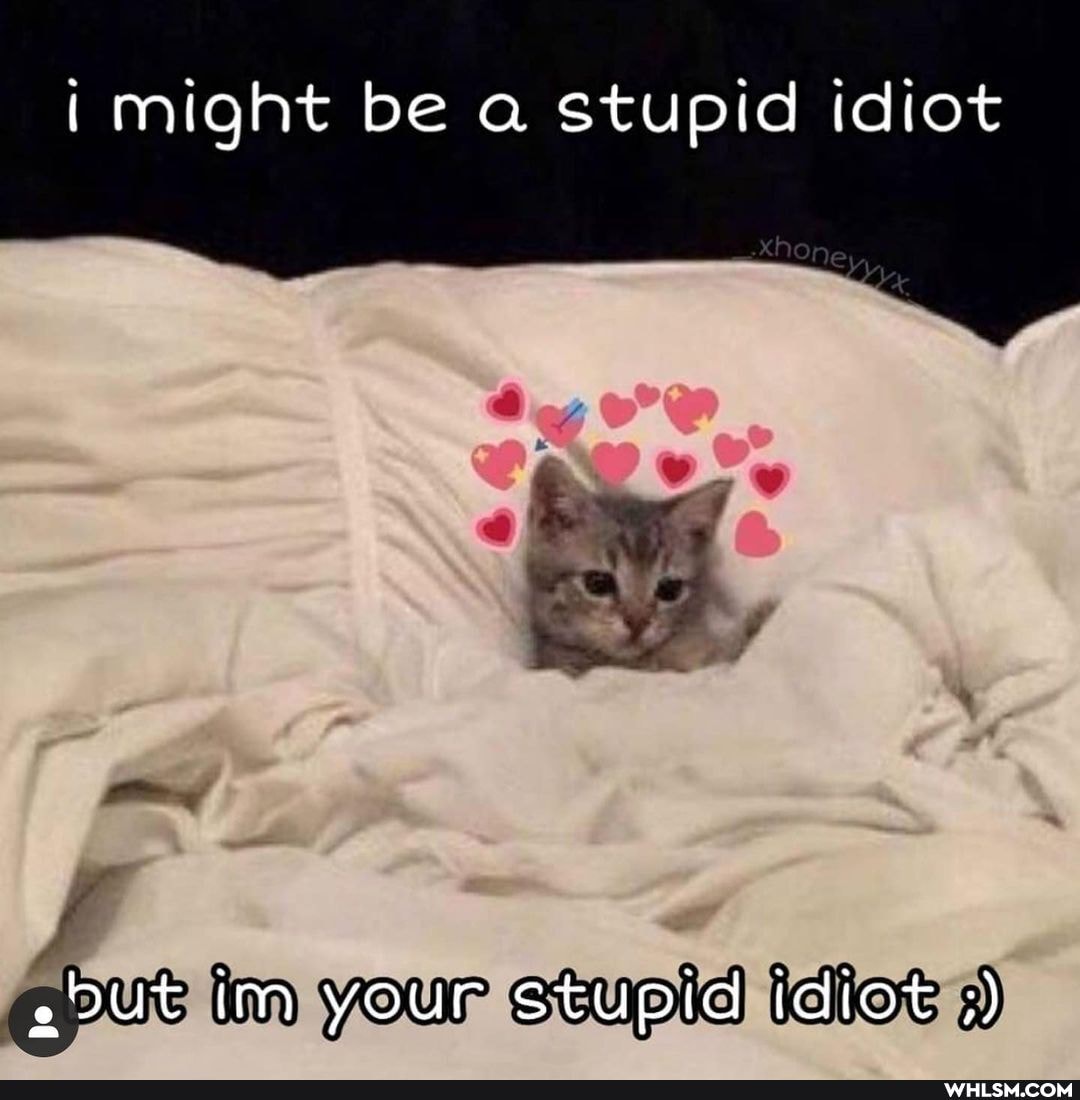 might be a stupid idiot
22ut im your stupid idiot