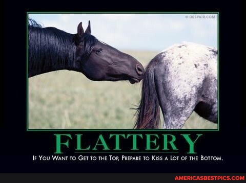 Flattery memes. Best Collection of funny Flattery pictures on America's  best pics and videos