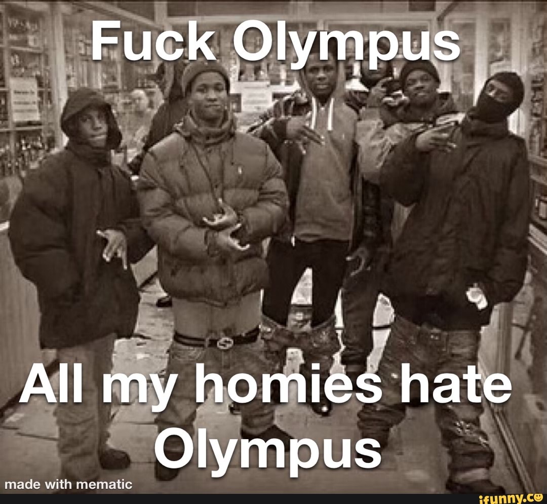 Ain't no fun if the homies cant have none meme