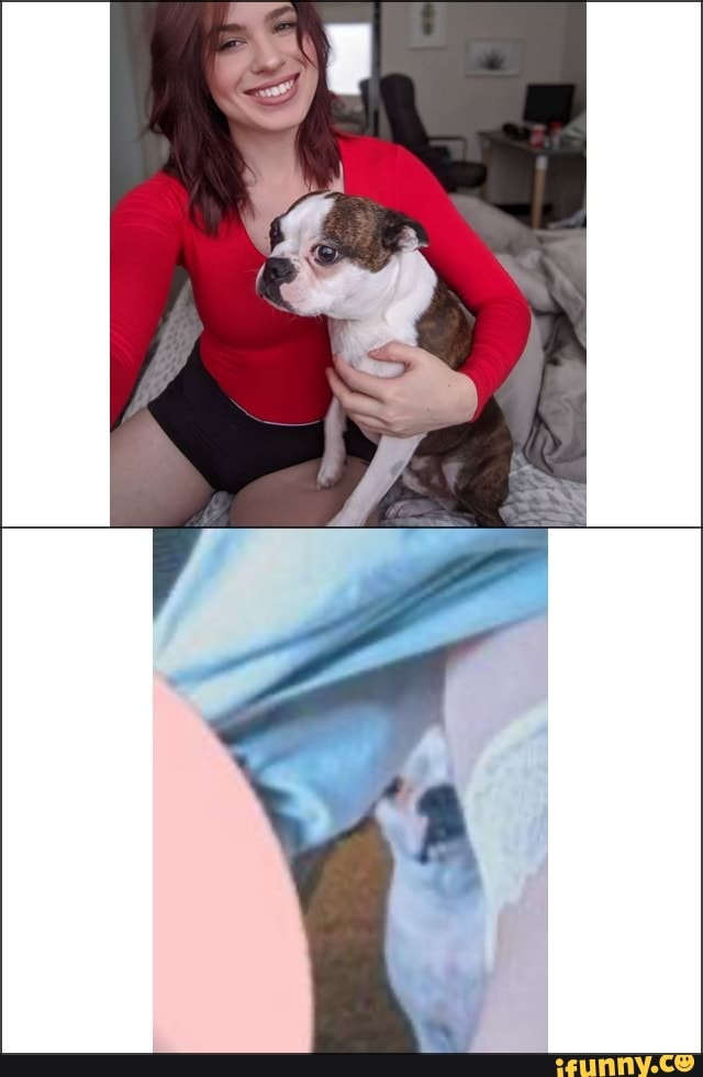 anisa, idubbbztv, poordog, simp, onlyfans, funny, dog
