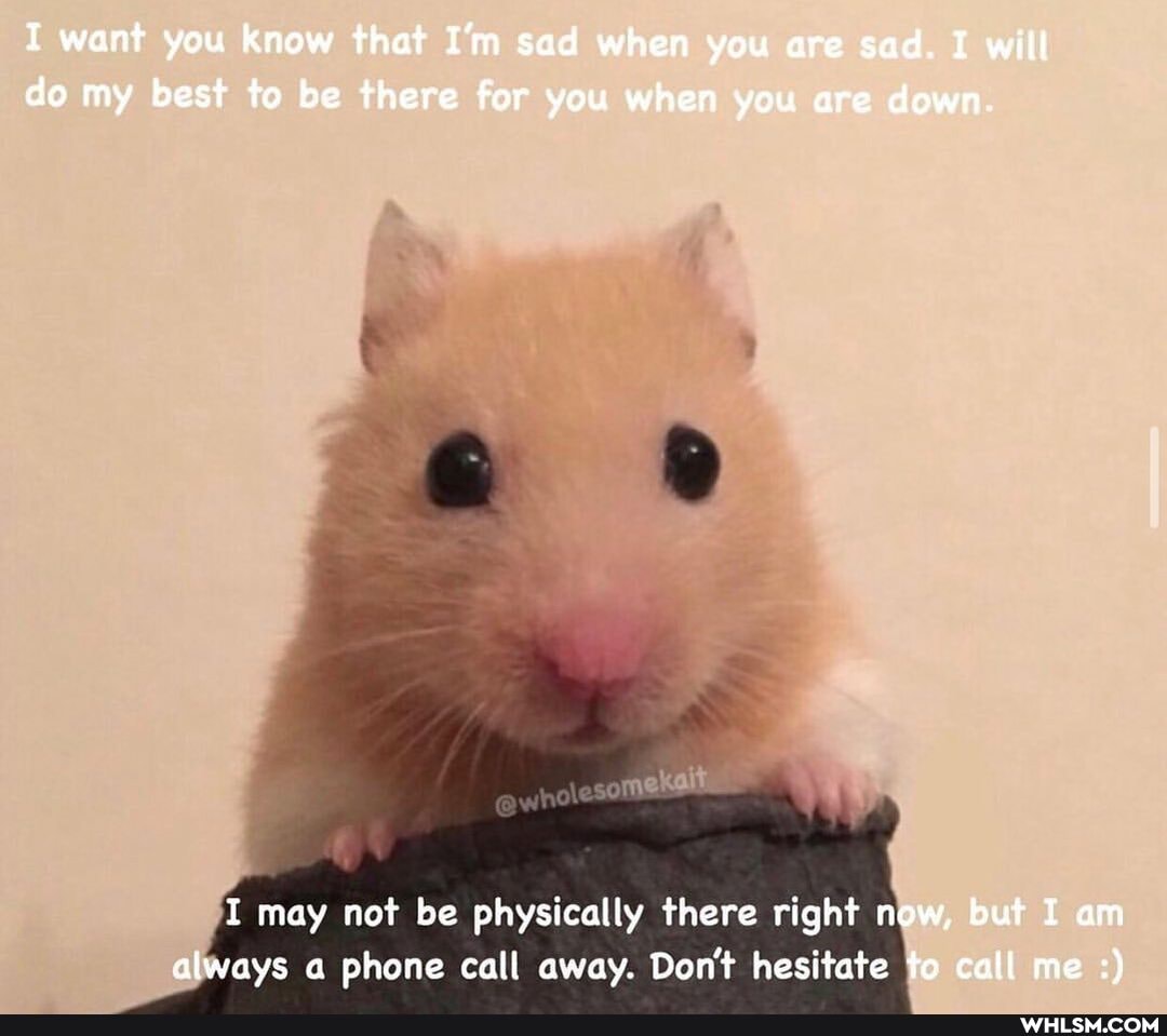 want you know that I'm sad when you are sad. I will do my best to be there for you when you are down.
I may not be physically there right now, but I am always a phone call away. Don't hesitate to call me