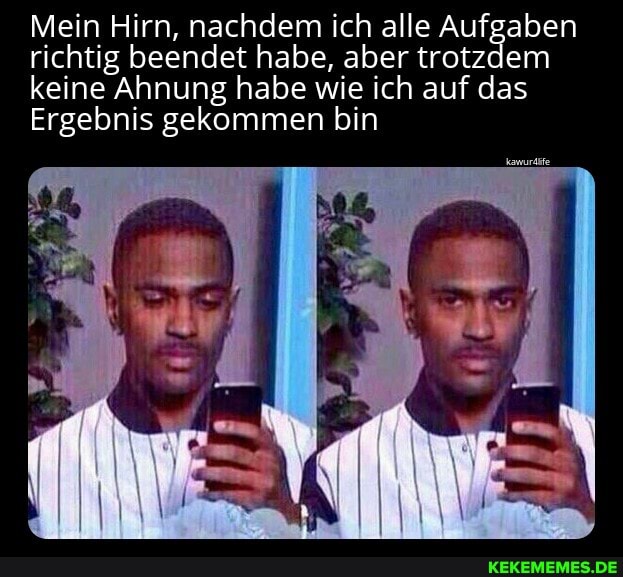 Mein Hirn, nachdem ich alle Aufgaben richtig beendet habe, aber trotzdem keine Ahnung habe wie ich auf das
Ergebnis gekommen bin
