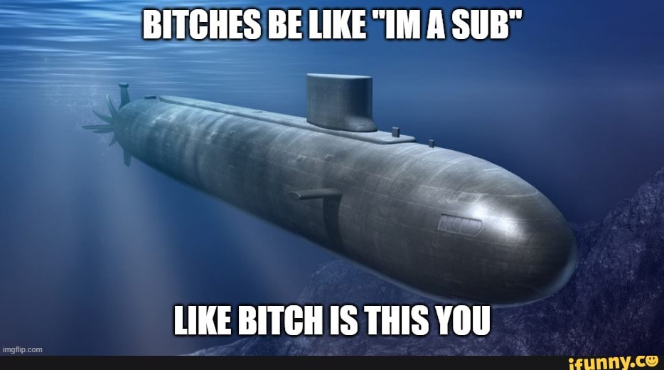 Sub bitch