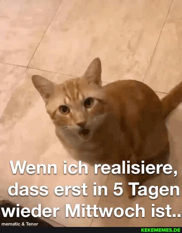 Wenn ich realisiere, dass erst in 5 Tagen wieder Mittwoch ist..